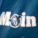 Moin Logo blau